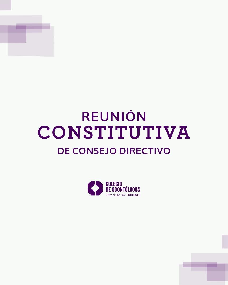REUNIÓN CONSTITUTIVA