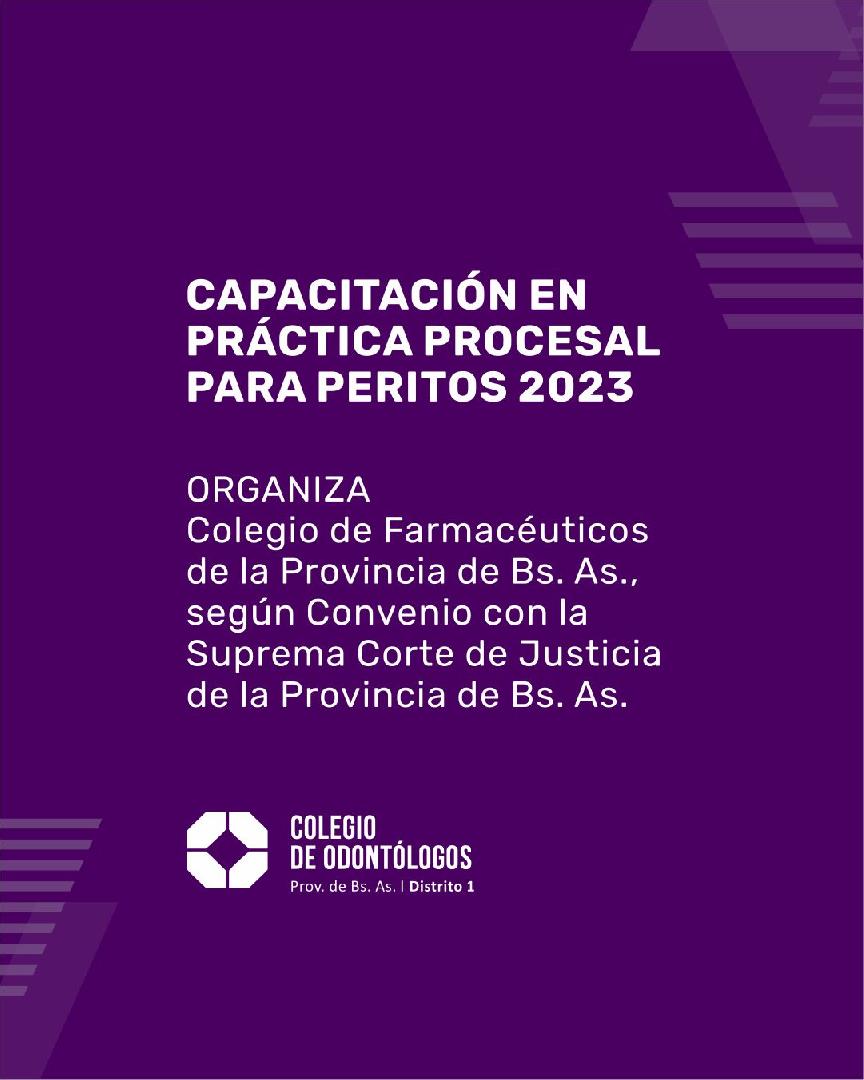 CAPACITACIÓN EN PRÁCTICA PROCESAL PARA PERITOS 2023